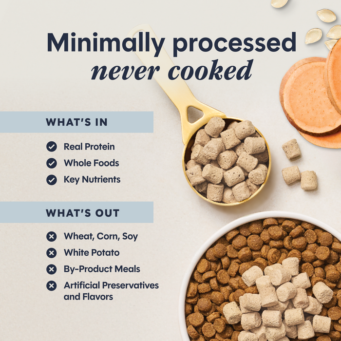 RawBoost+ Mixers Multivitamin Recipe