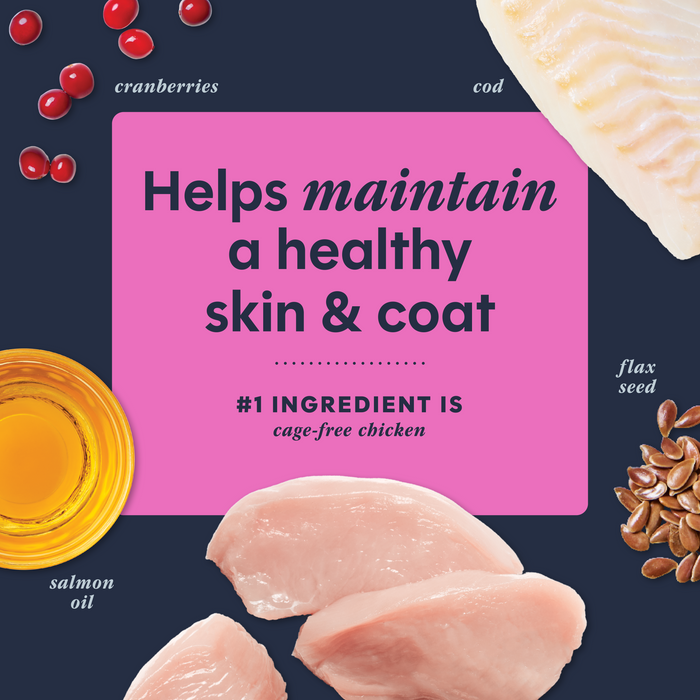 RawBoost+ Mixers Skin & Coat Health Recipe