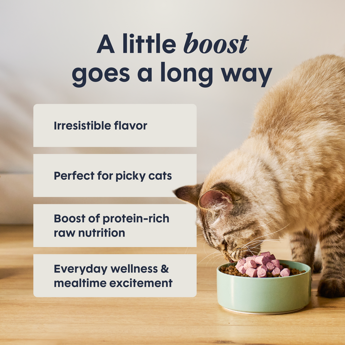 RawBoost+ Mixers Skin & Coat Health Recipe