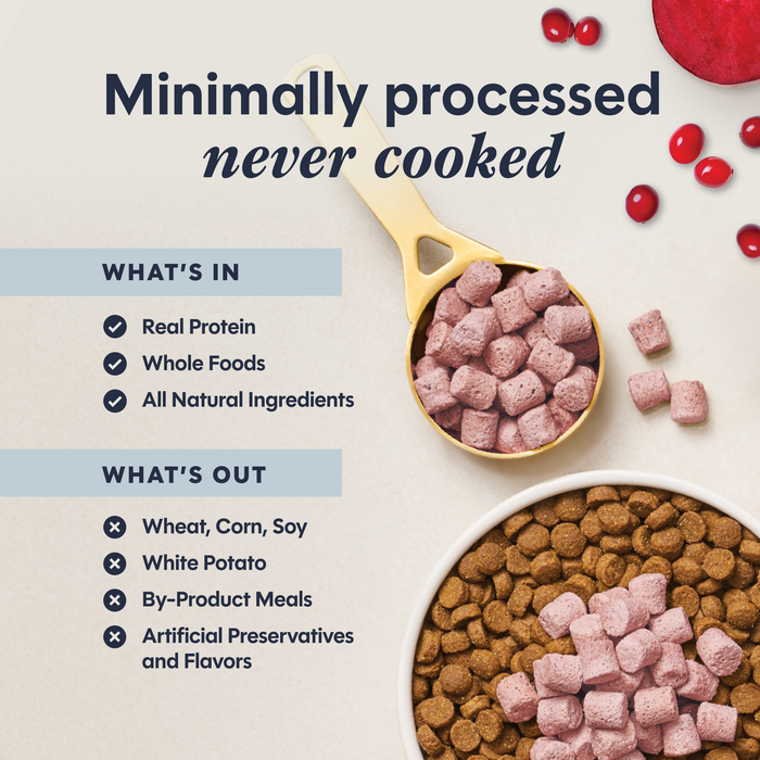 RawBoost+ Mixers Skin & Coat Health Recipe