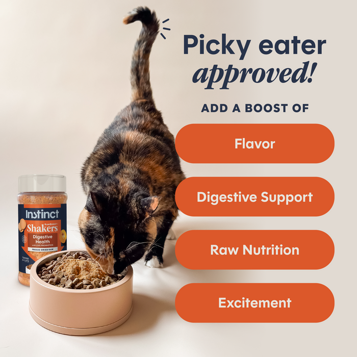 RawBoost+ Shakers Digestive Health Recipe