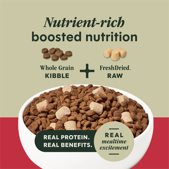 RawBoost+ Whole Grain Kibble Real Beef & Barley Recipe