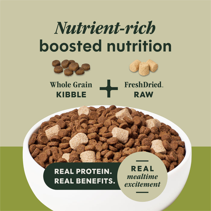 RawBoost+ Whole Grain Kibble Real Lamb & Oatmeal Recipe
