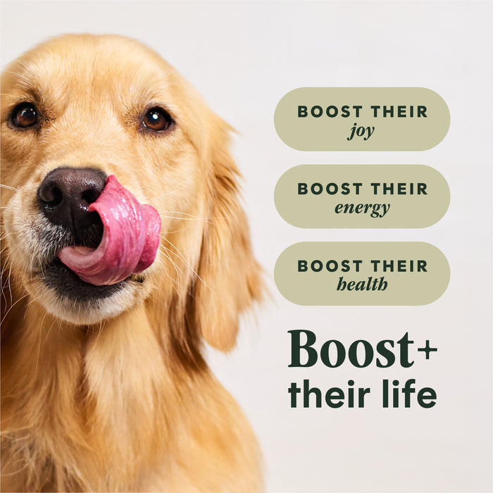 RawBoost+ Whole Grain Kibble Real Lamb & Oatmeal Recipe
