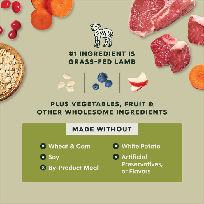 RawBoost+ Whole Grain Kibble Real Lamb & Oatmeal Recipe