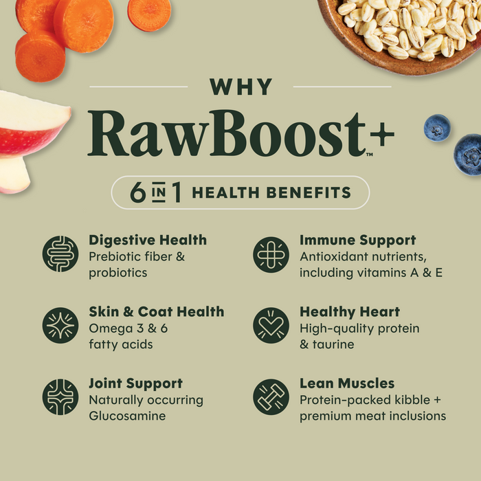 RawBoost+ Whole Grain Kibble Real Salmon & Brown Rice Recipe