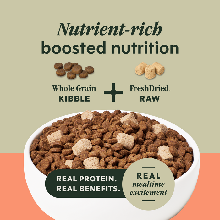 RawBoost+ Whole Grain Kibble Real Salmon & Brown Rice Recipe