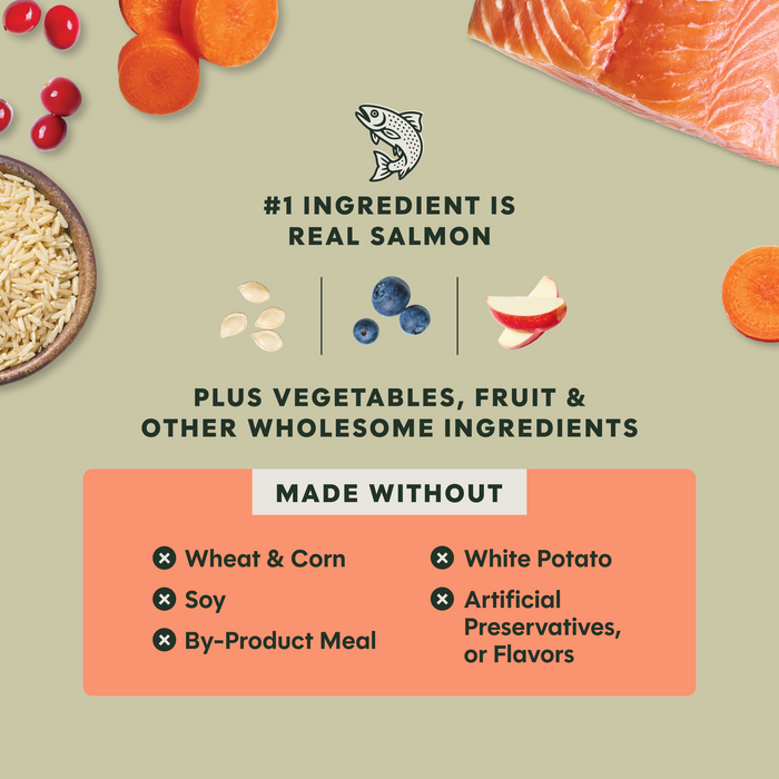 RawBoost+ Whole Grain Kibble Real Salmon & Brown Rice Recipe