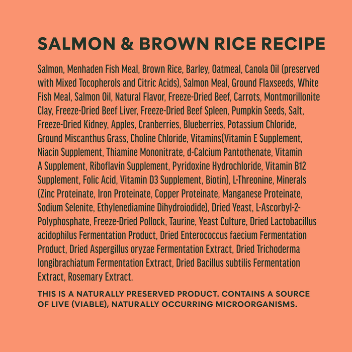RawBoost+ Whole Grain Kibble Real Salmon & Brown Rice Recipe