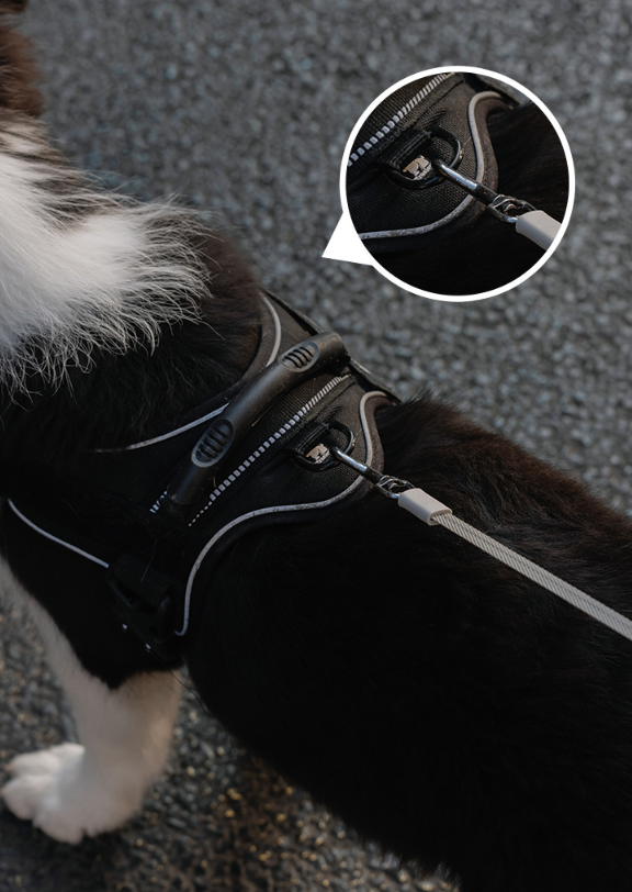 Retractable Pet Leash with Flashlight&Poop Bag Dispenser