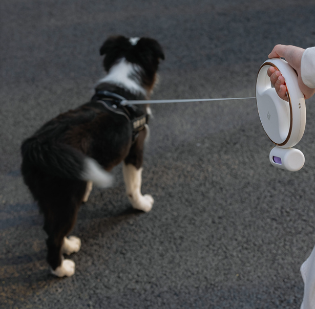 Retractable Pet Leash with Flashlight&Poop Bag Dispenser