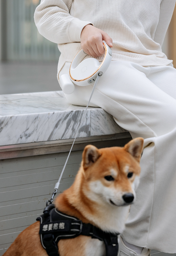 Retractable Pet Leash with Flashlight&Poop Bag Dispenser
