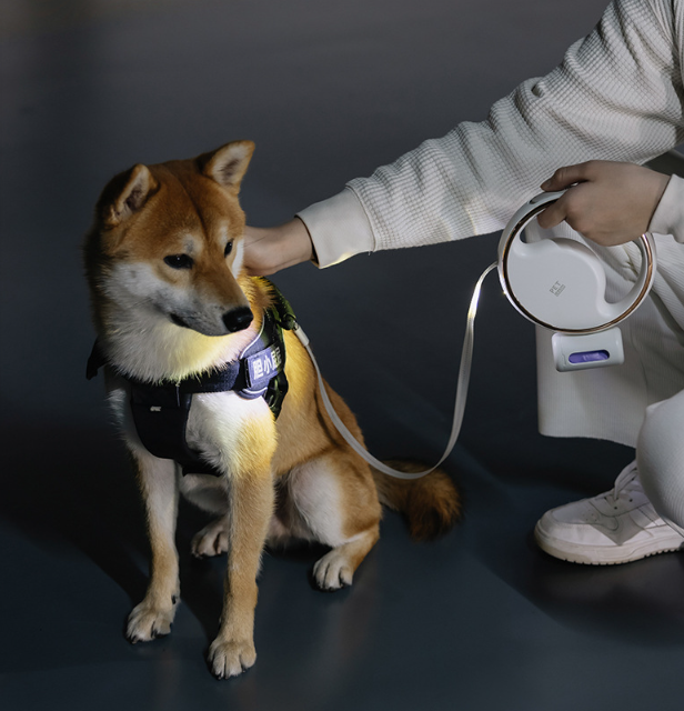 Retractable Pet Leash with Flashlight&Poop Bag Dispenser