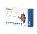 Revolution BLUE for Cats 6 Dose