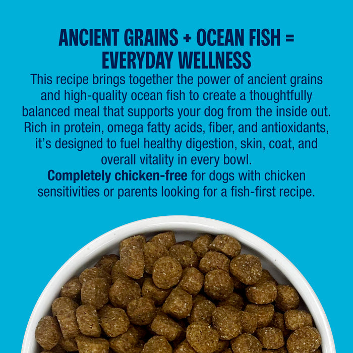 Muenster Ancient Grains Ocean Fish Recipe kibble with ancient grains for everyday wellness