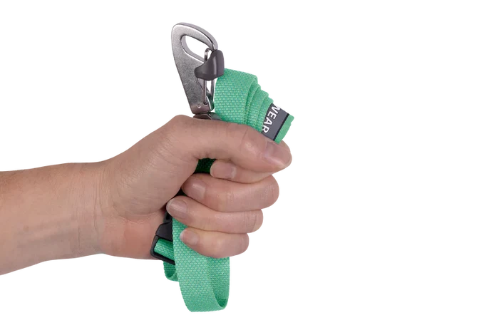 Ruffwear Flagline Dog Leash