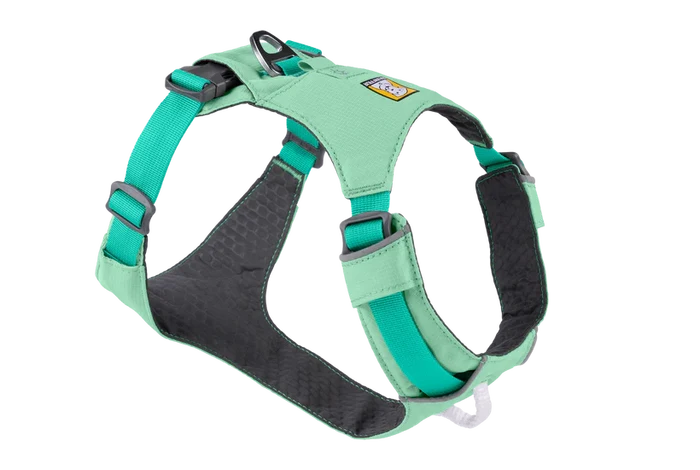 Sage Green / XXXS(23-33cm)