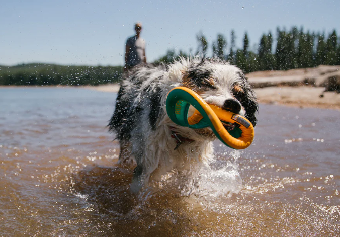 Ruffwear Hydro Plane Toy