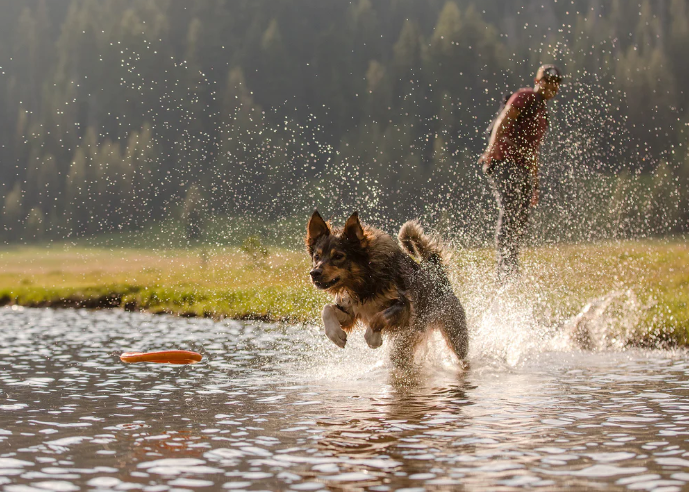 Ruffwear Hydro Plane Toy