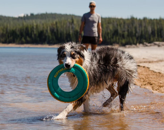 Ruffwear Hydro Plane Toy