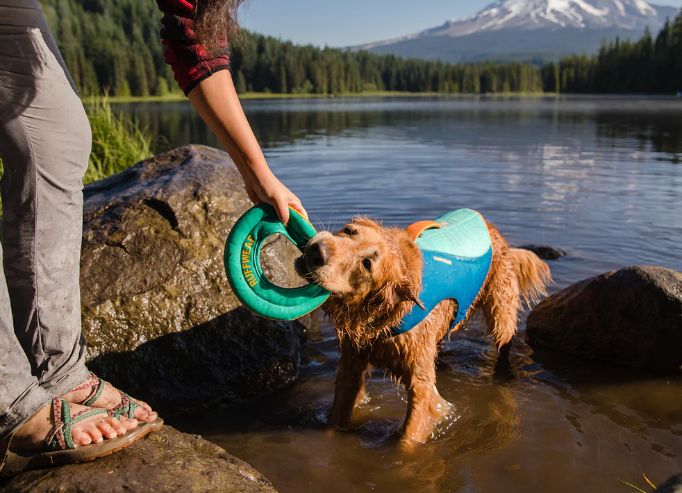 Ruffwear Hydro Plane Toy