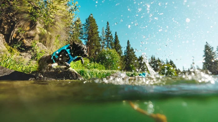 Ruffwear Lunker Floating Throw Toy