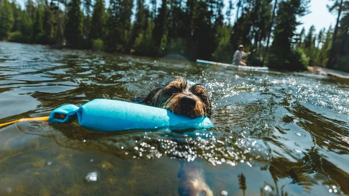 Ruffwear Lunker Floating Throw Toy