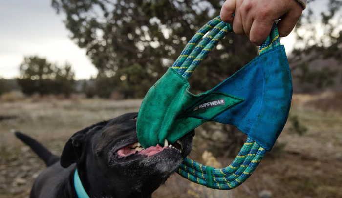 Ruffwear Pacific Ring Dog Toy