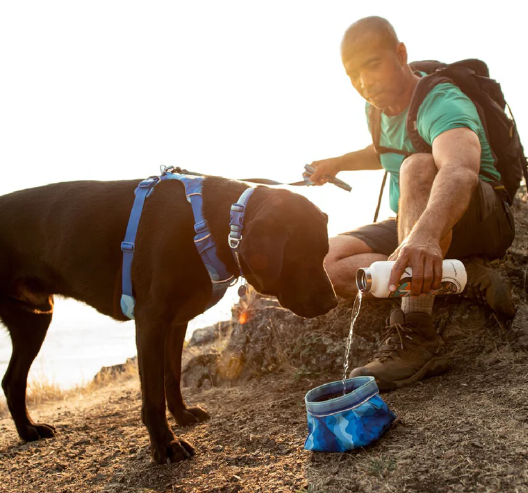 Ruffwear Quencher Bowl