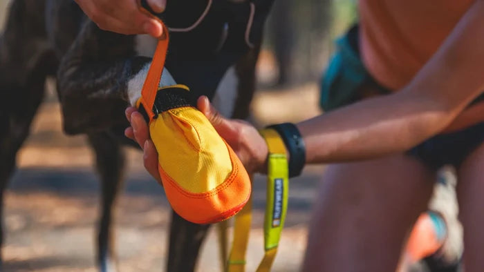 Ruffwear Summit Trex Shoes