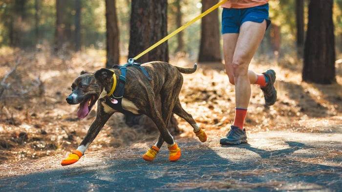 Ruffwear Summit Trex Shoes