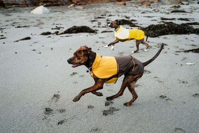 Ruffwear Sun Shower Jacket