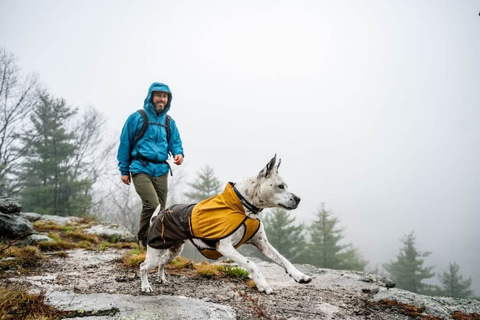 Ruffwear Sun Shower Jacket