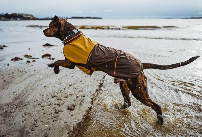 Ruffwear Sun Shower Jacket