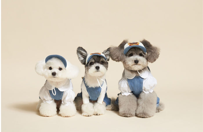 School Bears Uniform for Furkids