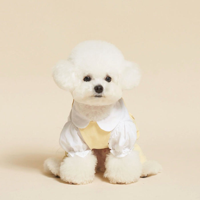 School Bears Uniform for Furkids