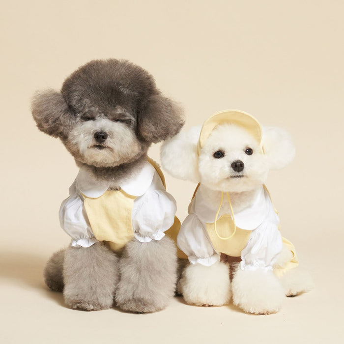School Bears Uniform for Furkids