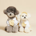 School Bears Uniform for Furkids