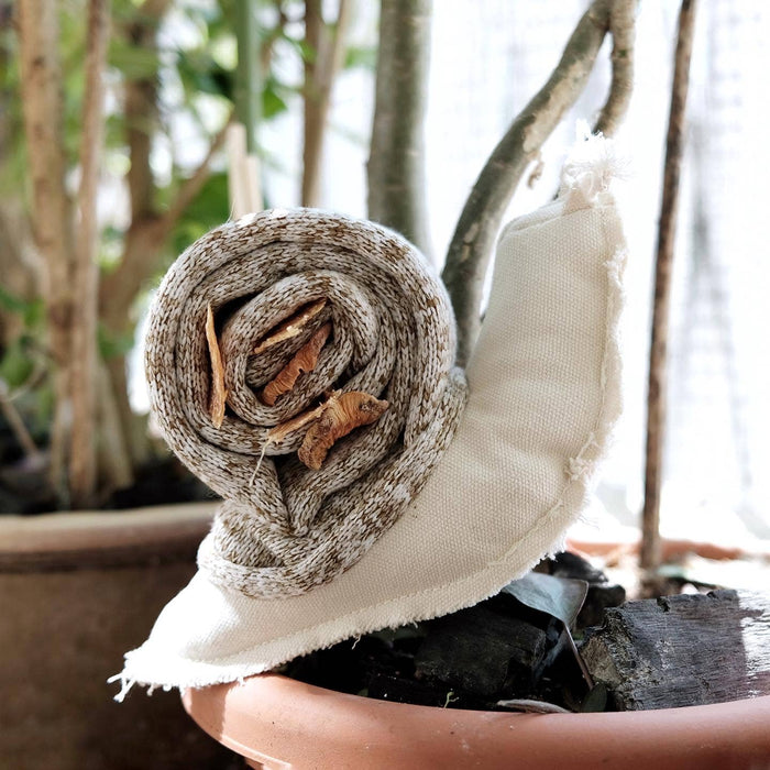 Snail Enrichment Toy