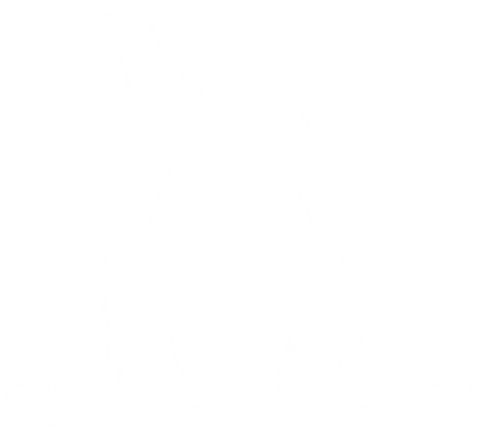 Snowboarder Vinyl Decal
