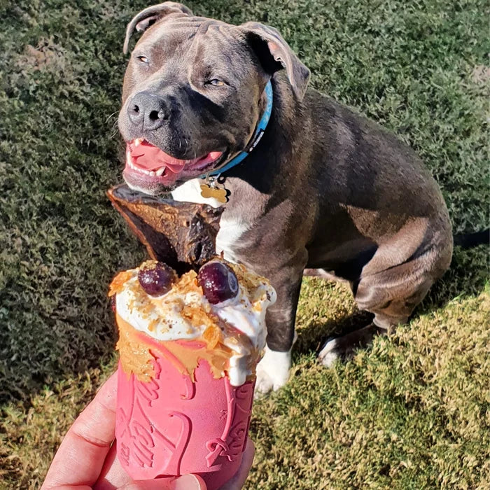 SodaPup Can Enrichment&Chew Toy