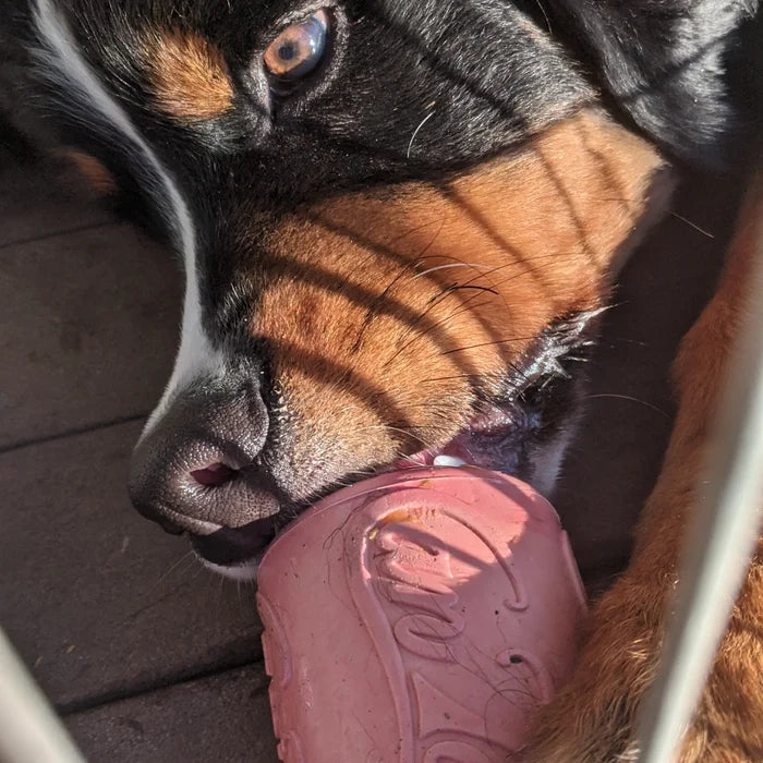 SodaPup Can Enrichment&Chew Toy