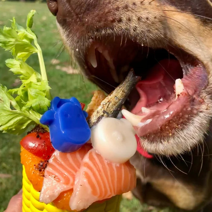 SodaPup Corn On the Cob Enrichment&Chew Toy