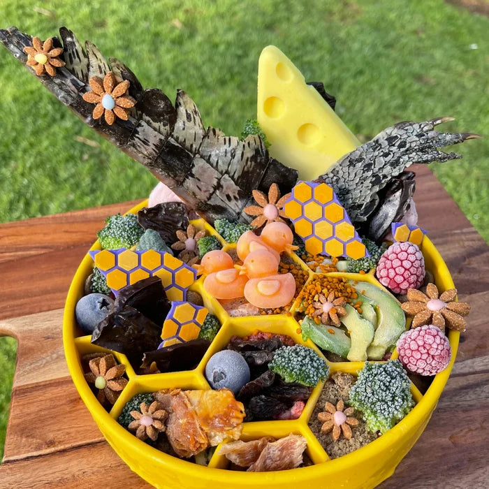 SodaPup Honeycomb eBowl