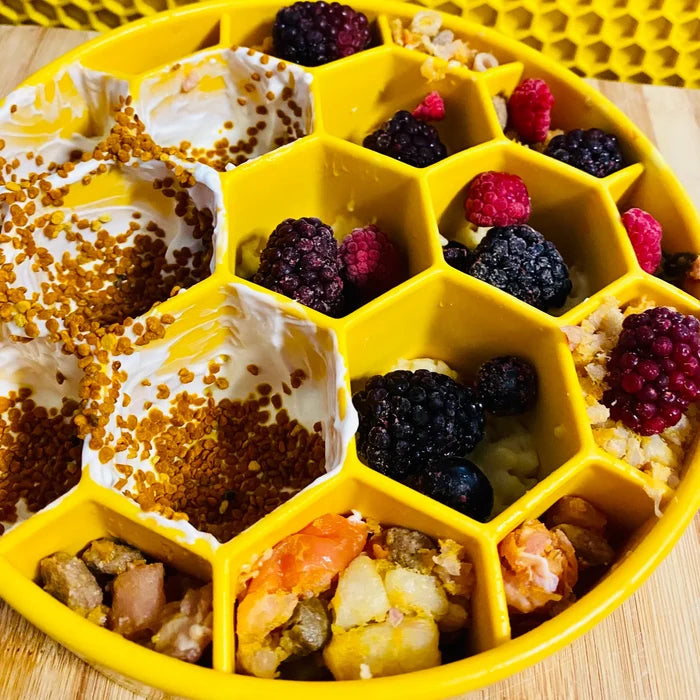 SodaPup Honeycomb eBowl