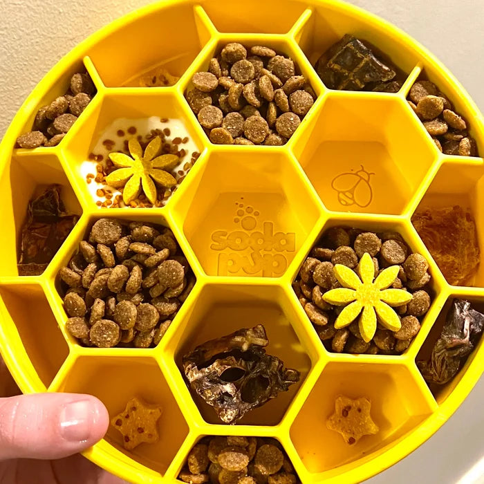SodaPup Honeycomb eBowl