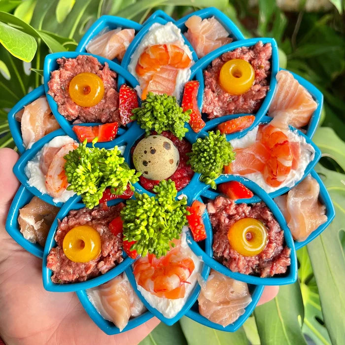 SodaPup Mandala eTray