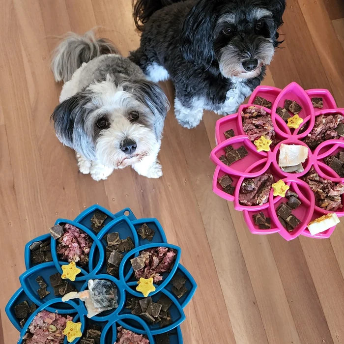 SodaPup Mandala eTray