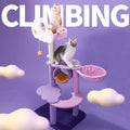 Sparkling Sky Cat Climber
