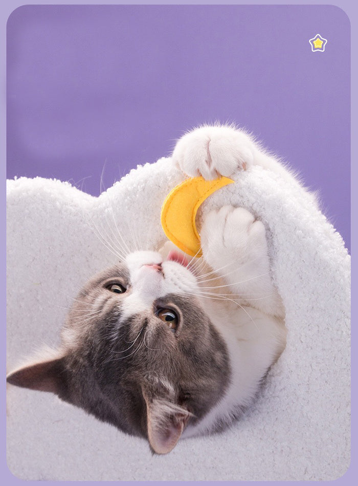 Sparkling Sky Cat Climber